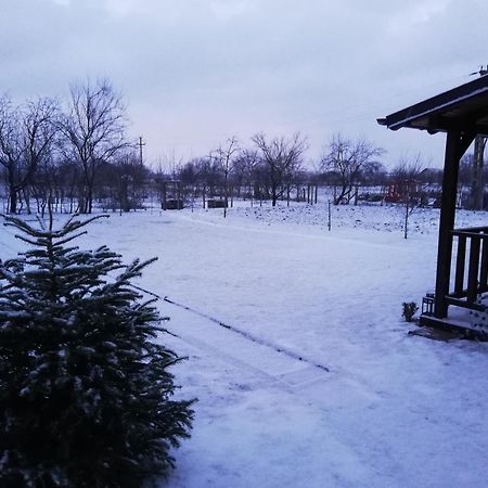 Casa De Vacanta Ayan Hărman 客房 照片
