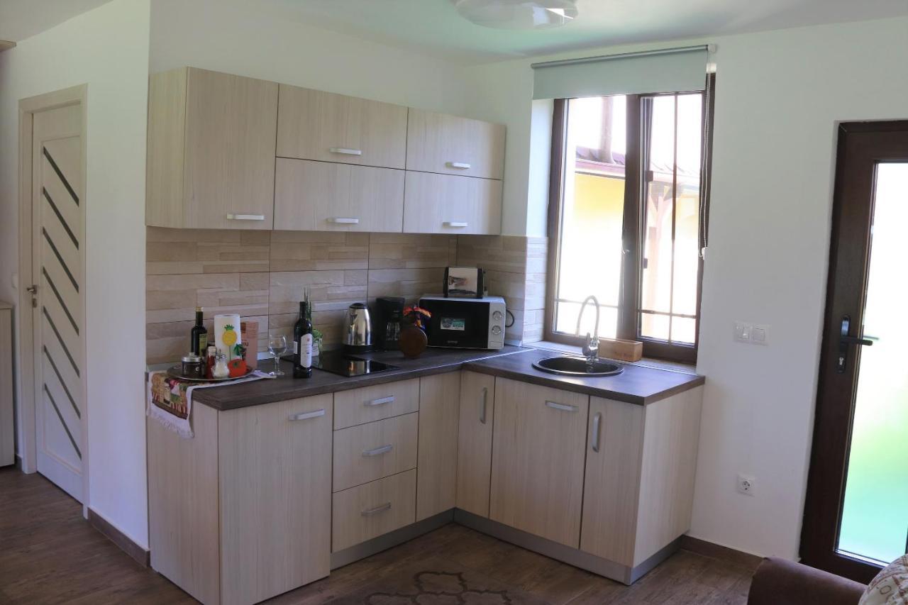 Casa De Vacanta Ayan Hărman 外观 照片