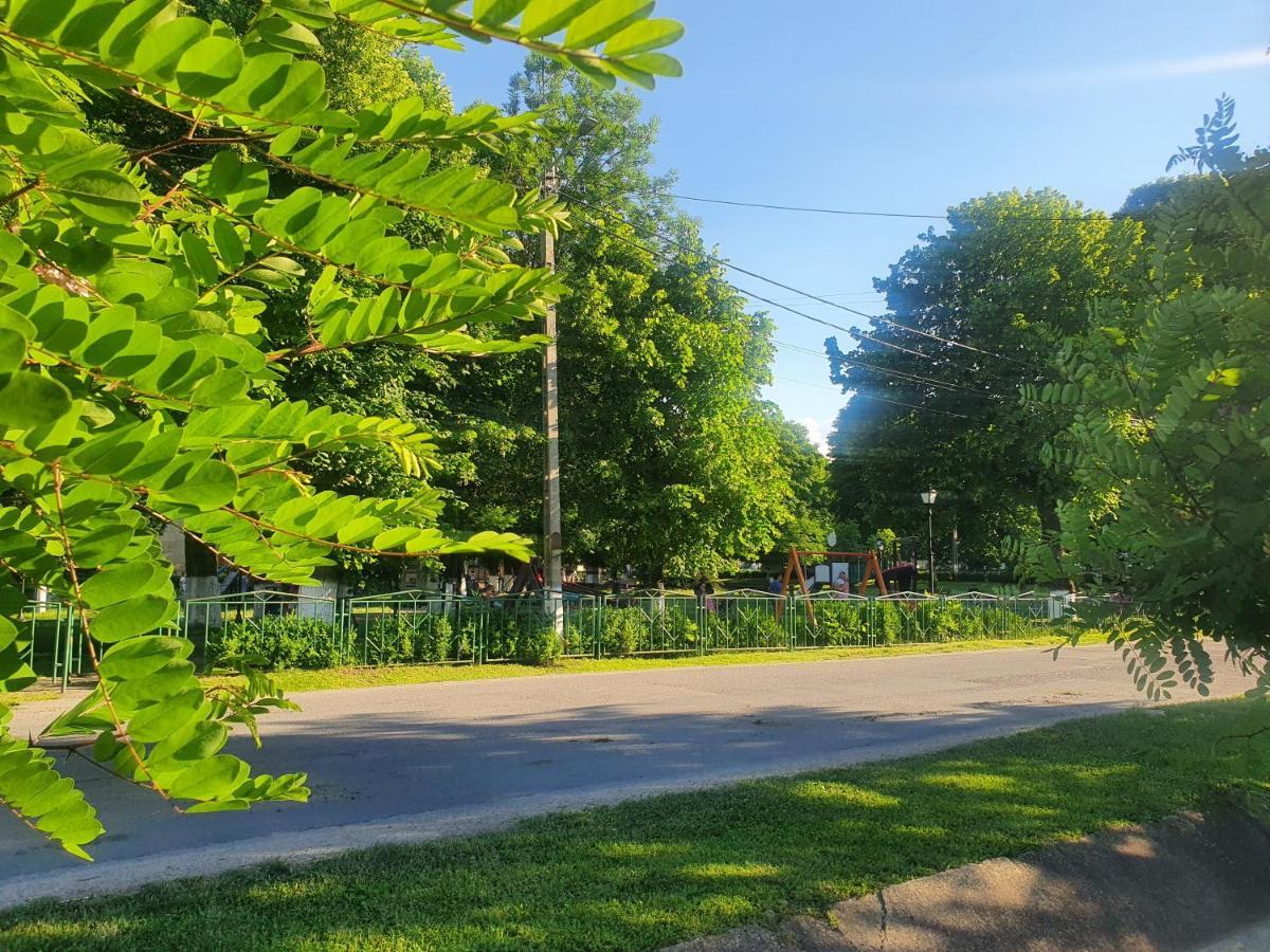 Casa De Vacanta Ayan Hărman 外观 照片