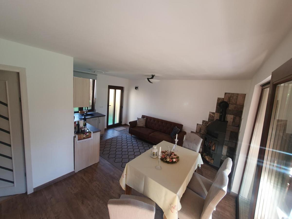 Casa De Vacanta Ayan Hărman 外观 照片
