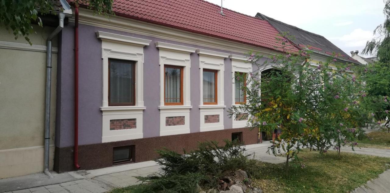 Casa De Vacanta Ayan Hărman 外观 照片