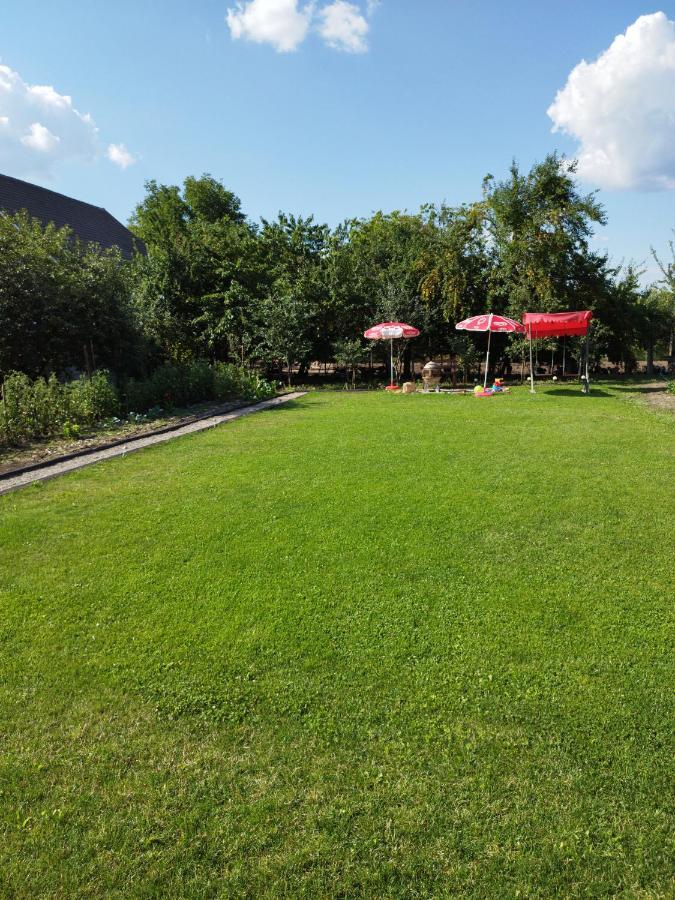 Casa De Vacanta Ayan Hărman 外观 照片