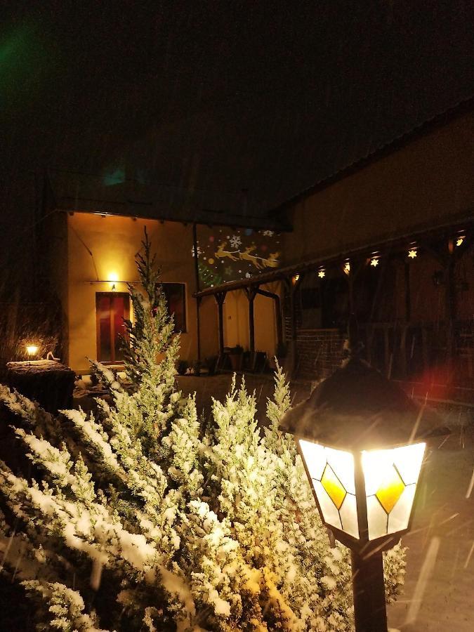 Casa De Vacanta Ayan Hărman 外观 照片