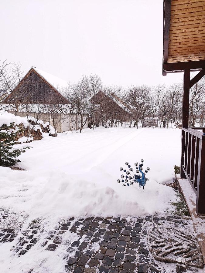 Casa De Vacanta Ayan Hărman 外观 照片